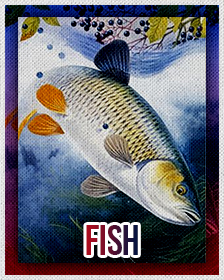 Fish