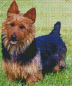 Australian Terrier Diamond Painting