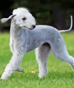 Bedlington Terrier Dog Diamond Painting