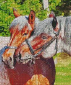 Belgian Horses Diamond Painting