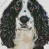 Black And White Spaniel Diamond Painting