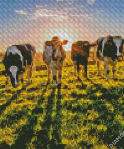 Cows In The Field Diamond Painting