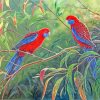 Crimson Rosella Birds Diamond Painting