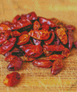 Dried Pequin Pepper Diamond Painting