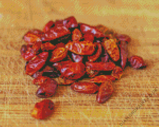 Dried Pequin Pepper Diamond Painting