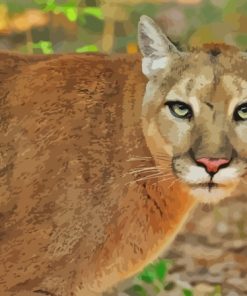 Florida Panther Animal Diamond Painting