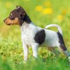 Fox Terrier Puppy Diamond Painting