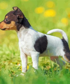 Fox Terrier Puppy Diamond Painting