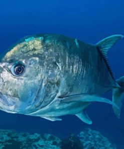 Giant Trevally Fish Diamond Painting