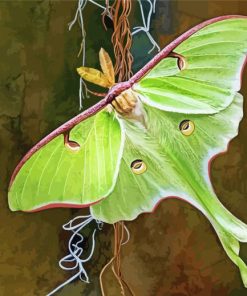 Luna Moth Diamond Painting