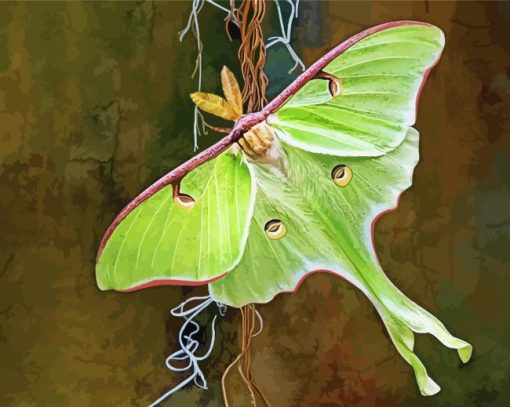 Luna Moth Diamond Painting