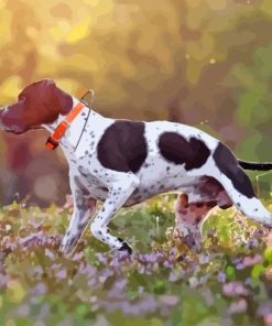 Pointer Hunting Dog Diamond Painting