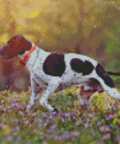 Pointer Hunting Dog Diamond Painting