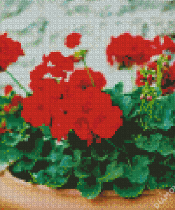 Red Geranium Flowers Diamond Painting