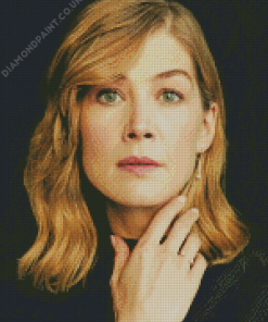 Rosamund Pike Face Diamond Painting