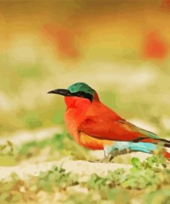 Southern Carmine Bee Eater Diamond Painting