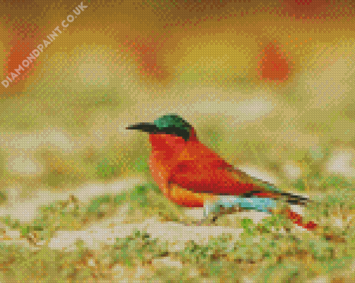 Southern Carmine Bee Eater Diamond Painting