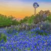 Texas Bluebonnets With Windmill Diamond Painting