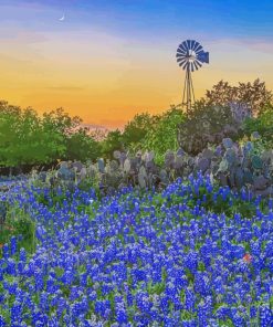 Texas Bluebonnets With Windmill Diamond Painting