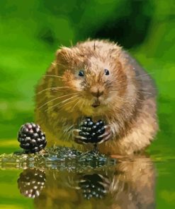 Water Vole Diamond Painting