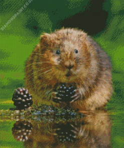 Water Vole Diamond Painting