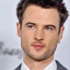 British Actor Tom Sturridge Diamond Painting