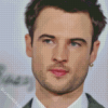 British Actor Tom Sturridge Diamond Painting