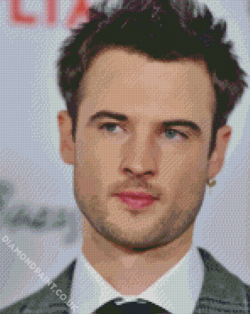 British Actor Tom Sturridge Diamond Painting