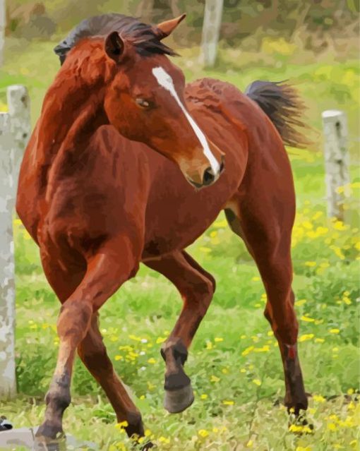 Brown Quarter Horse Diamond Painting