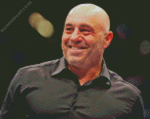 Joe Rogan American Actor Diamond Painting