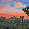 Morning In Joshua Tree National Park Diamond Painting