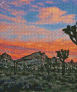 Morning In Joshua Tree National Park Diamond Painting