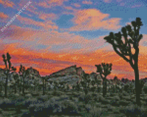 Morning In Joshua Tree National Park Diamond Painting