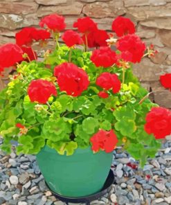 Red Flowers Geraniums Diamond Painting