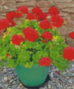 Red Flowers Geraniums Diamond Painting