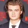 The Actor Joe Keery Diamond Painting