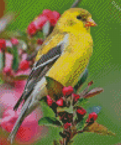 Yellow Finch Diamond Painting