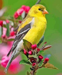 Yellow Finch Diamond Painting