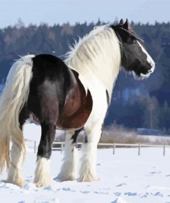 Cob horse in snow Diamond With Numbers