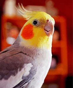 Cockatiel Diamond With Numbers