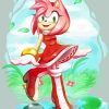 Amy Rose Diamond With Numbers