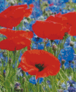 red poppies and blue cornflowers Diamond With Numbers