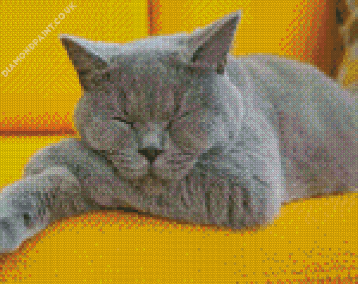 sleepy Grey kitty Diamond Paintings