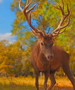 crown prince deer Diamond With Numbers