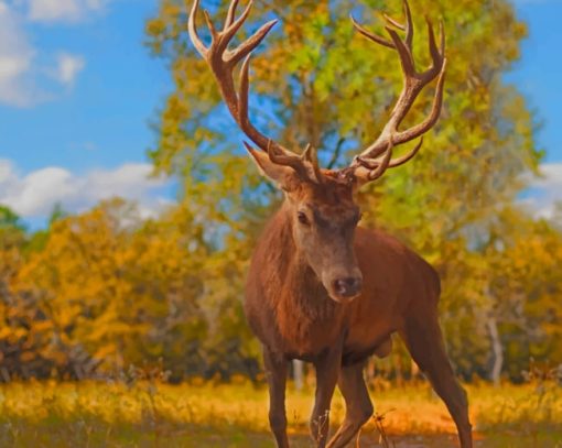 crown prince deer Diamond With Numbers