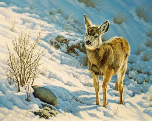 winter mule deer Diamond With Numbers