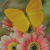 yellow butterfly on flowers Diamond With Numbers