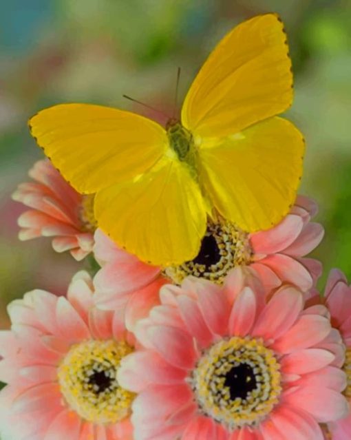 yellow butterfly on flowers Diamond With Numbers