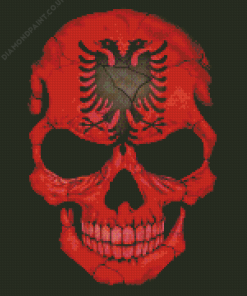 Albanian Flag Skull paint by numbers