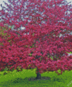 Crabapple tree landscape paint by numbers